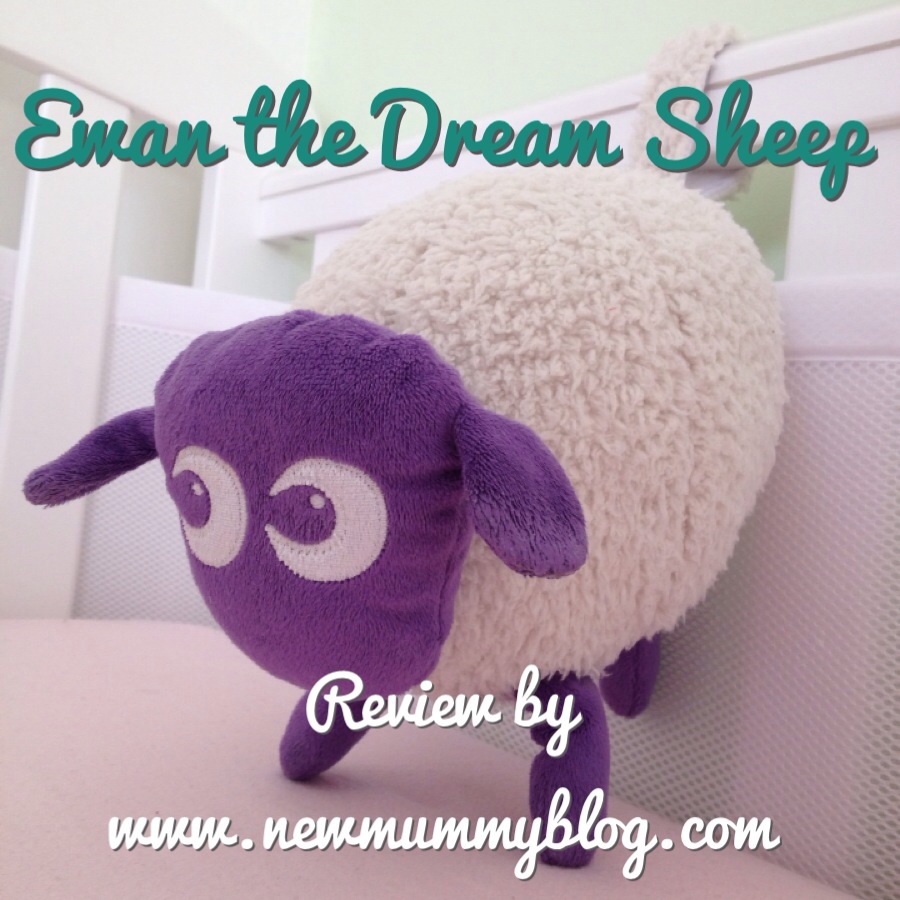 buy ewan the dream sheep