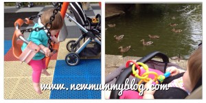 Newmummyblog ducks and swings at the park