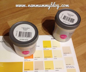 New mummy blog new home paint testers