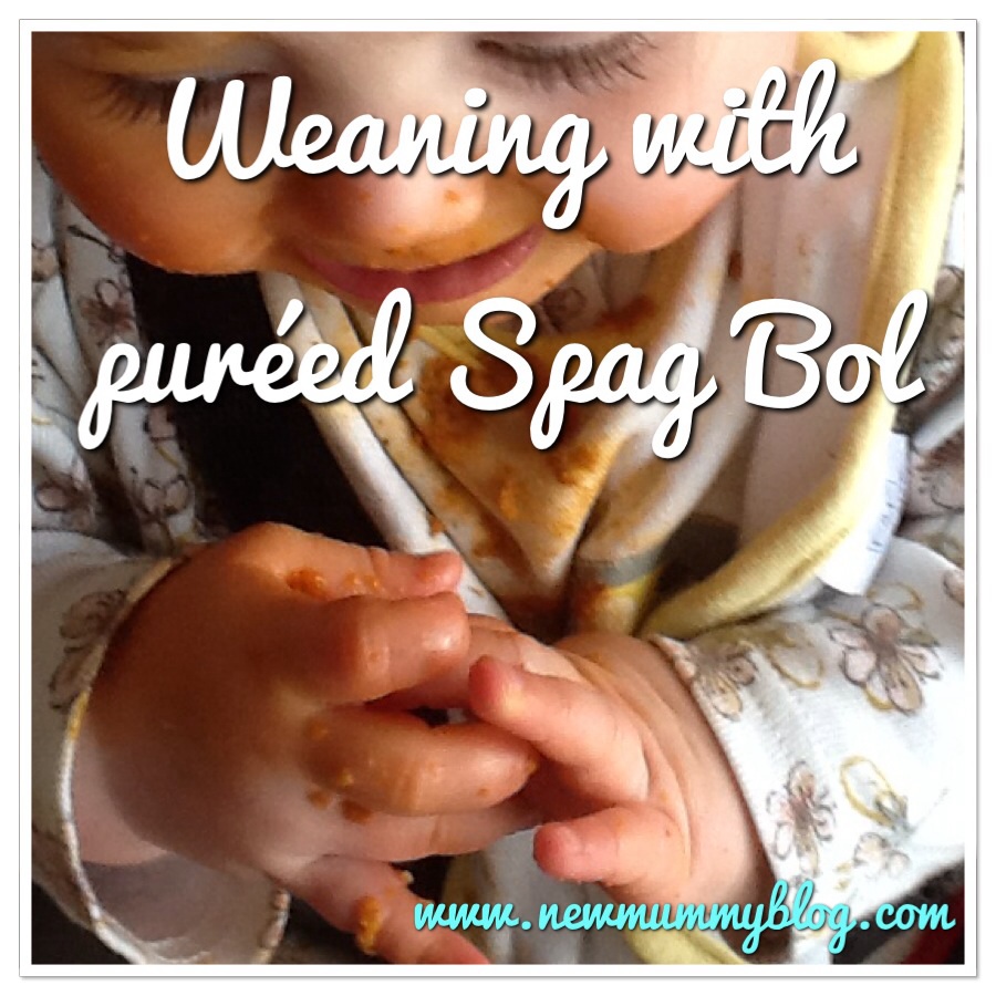 New mummy blog things parents say when weaning spag bol