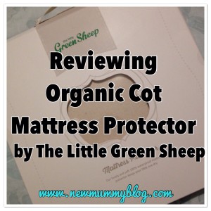 The Little Green Sheep Cot Protector