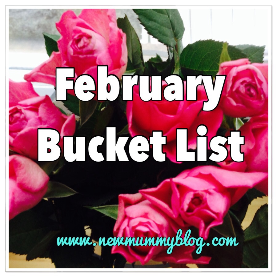New mummy blog February bucket list and January review