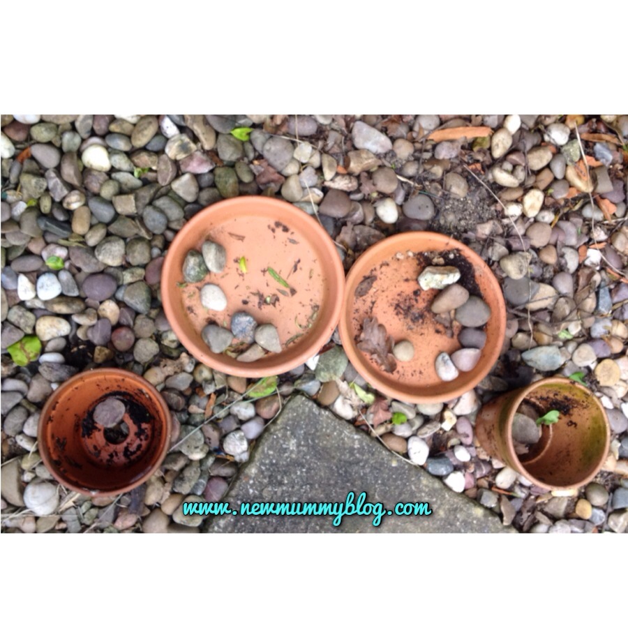 Pebble sorting using plant pots and saucers