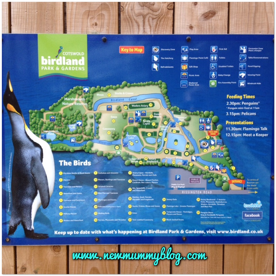 Birdland 9 acres of fun for kids and toddlers