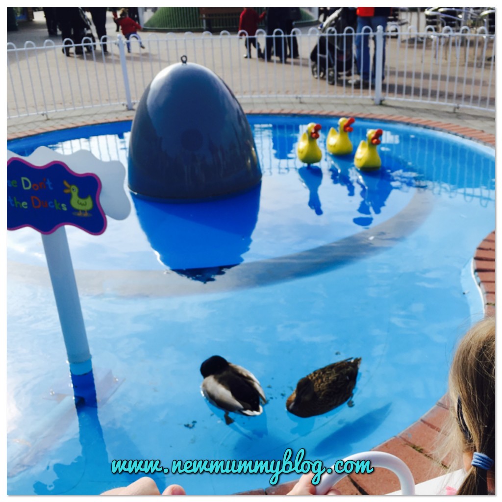 Visiting Peppa Pig World with a 2 year old - Review Southampton - our family day out with two year old - real ducks in the Peppa Duck Pond