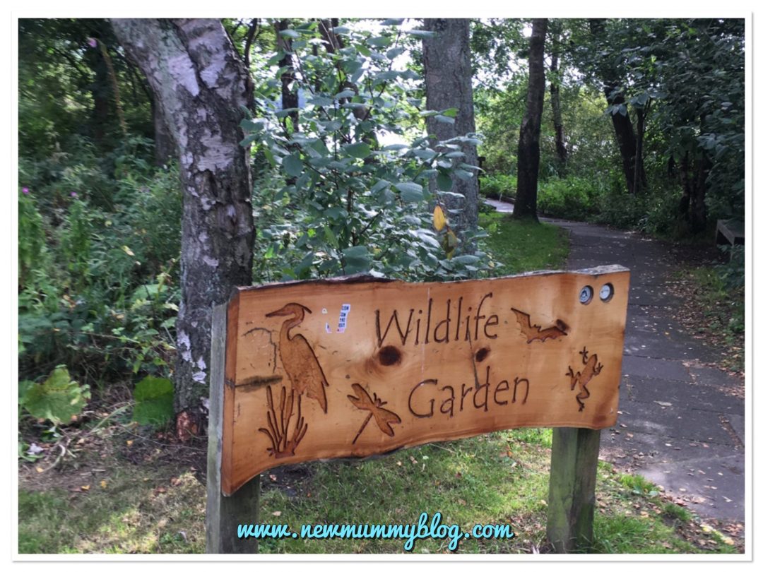 Days out with kids Glasgow Drumpellier Country Park wildlife garden