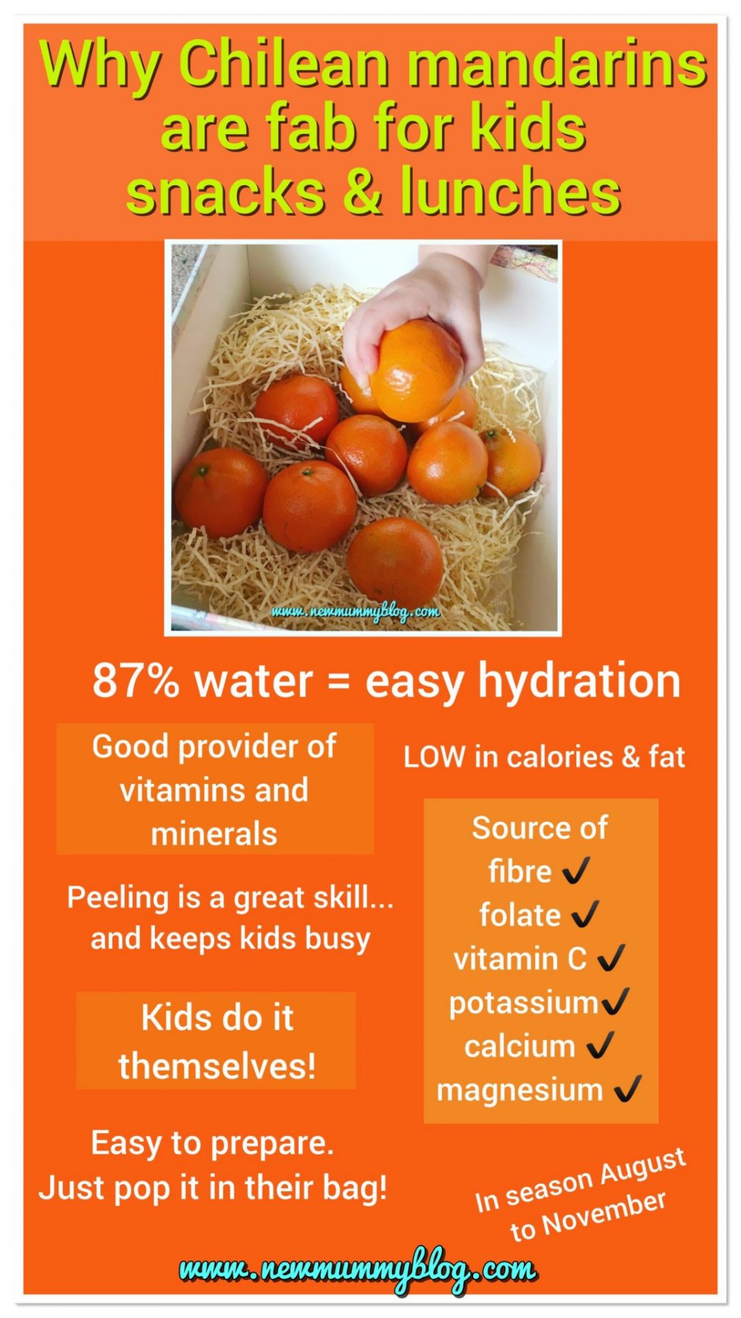 Why Chilean mandarins are perfect for kids lunches and toddler snacks BritMums challenge #chileaneasypeelers infographic 