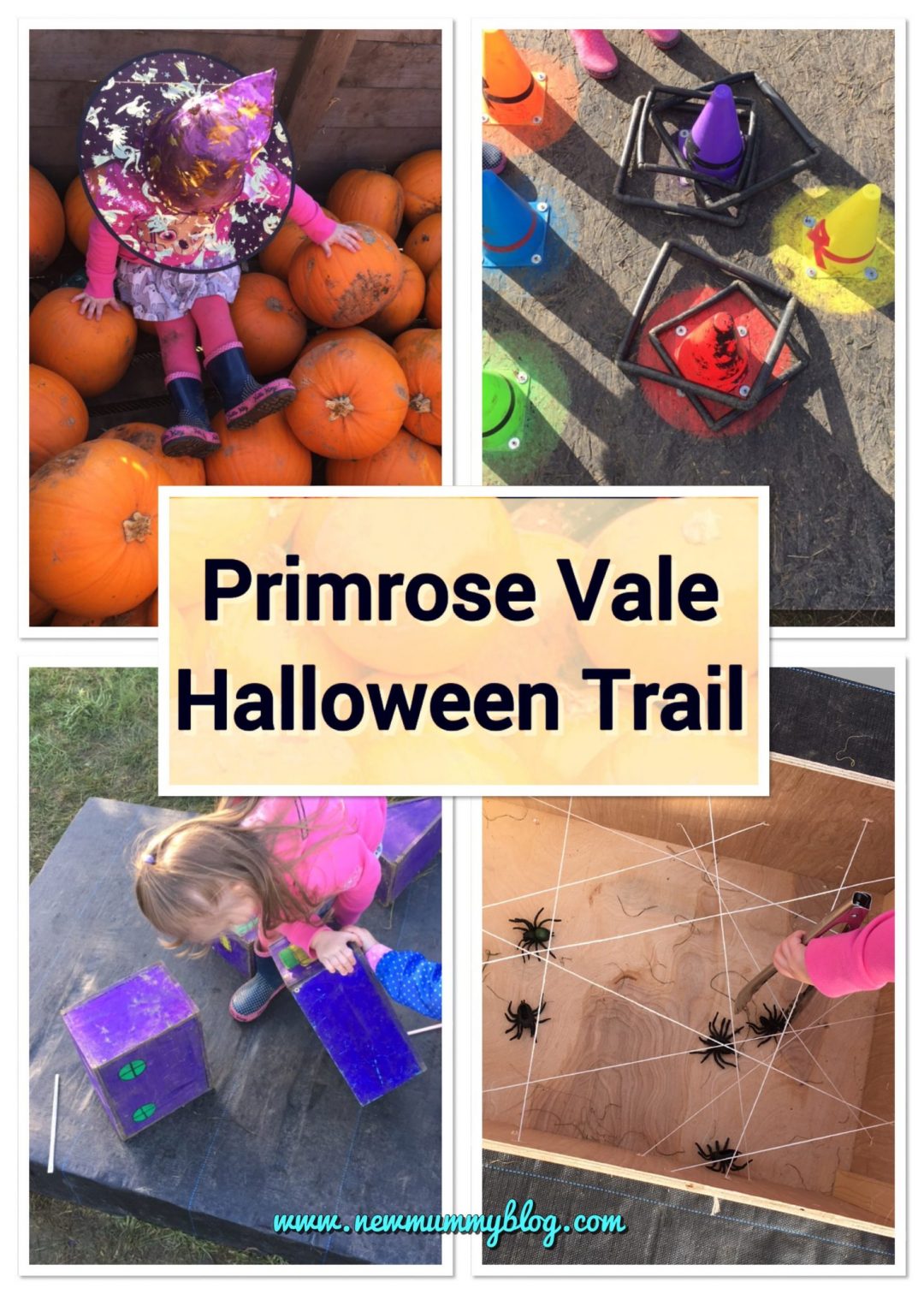 Primrose Vale Halloween Trail Cheltenham Days out and things to do Gloucestershire