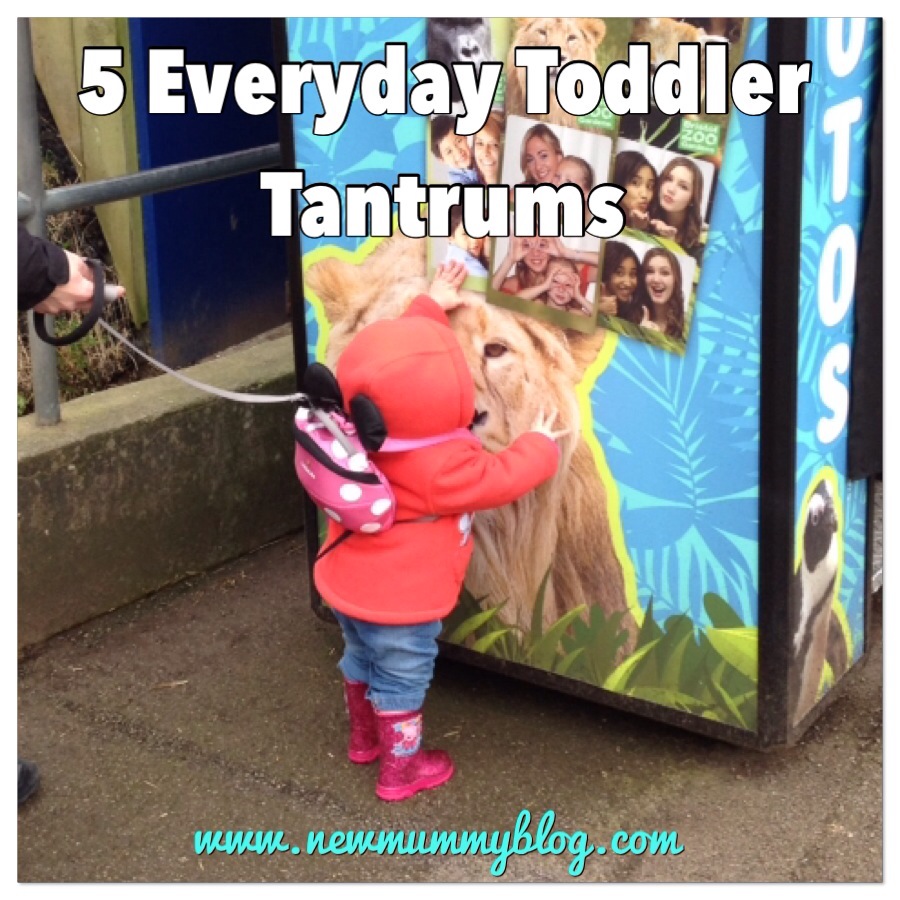 5 Everyday Toddler Tantrums at 15 months old! New