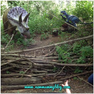 dinosaurs at birdland toddler kids trail