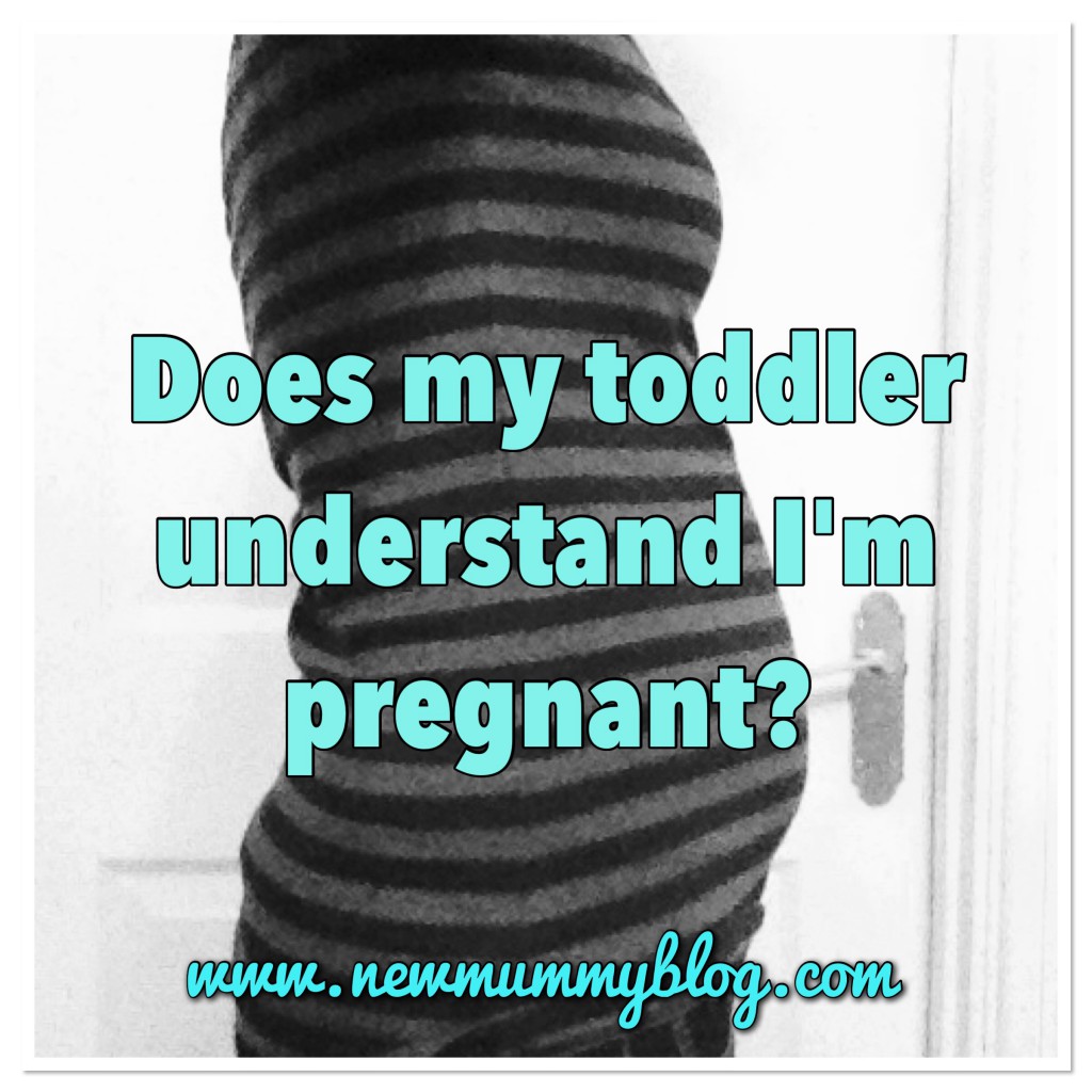 baby bump at 15 weeks - does my toddler understand I'm pregnant