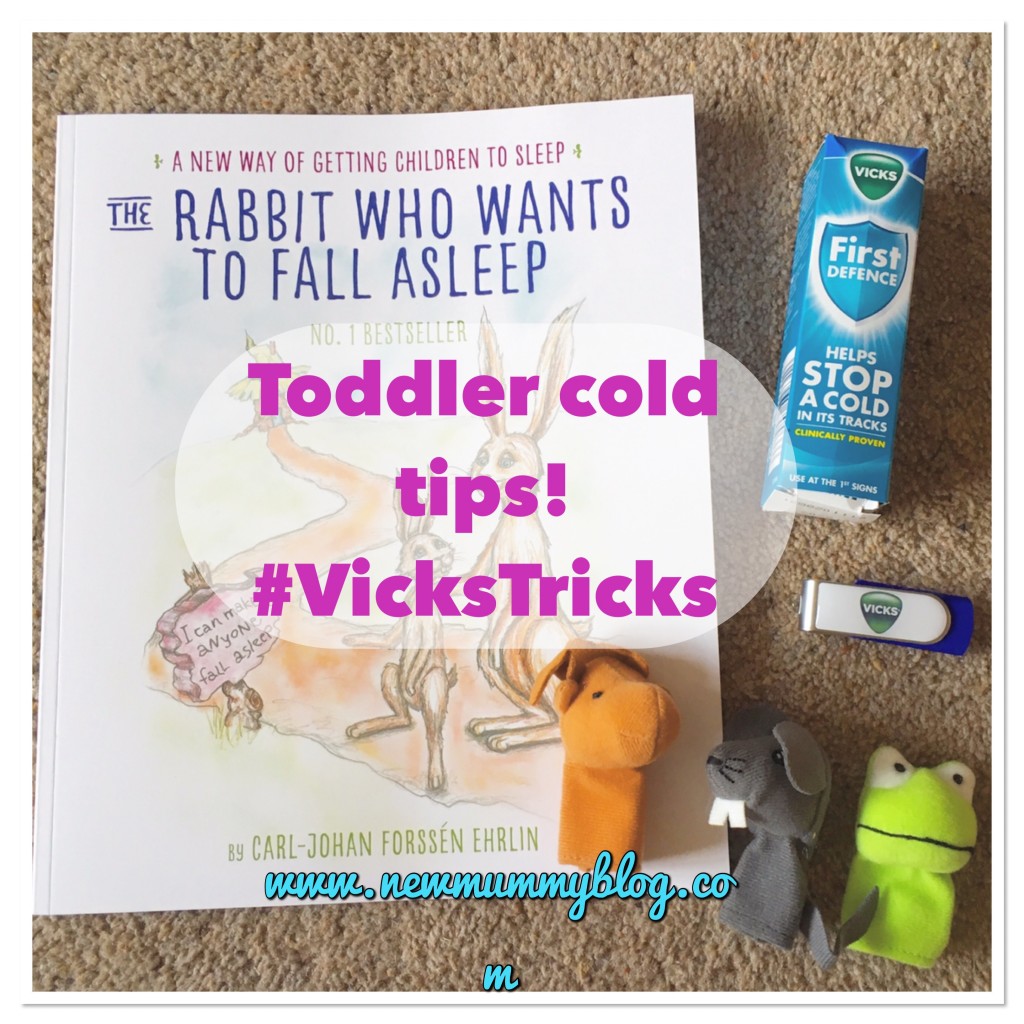 A few #vickstricks survival tips - a few bits and pieces to help- books, finger puppets, Vicks first defence,