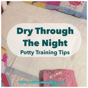 Potty Training Dry At Night - Potty Training Tips