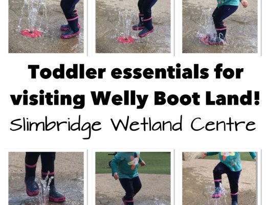 Slimbridge with a toddler - Toddler Welly Boot Land What to take with you