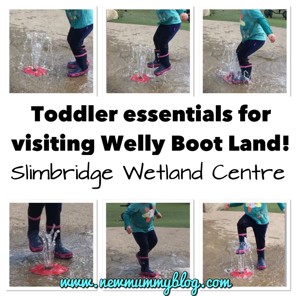 Slimbridge with a toddler - Toddler Welly Boot Land What to take with you