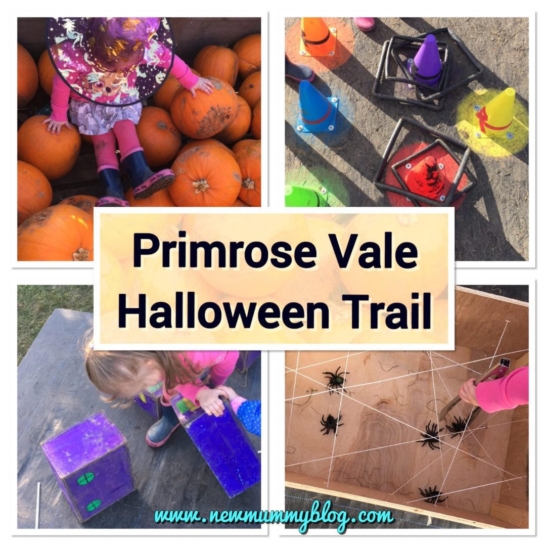 Primrose Vale Halloween trail review 2017 - new Mummy Blog days out pumpkins Cheltenham Gloucestershire