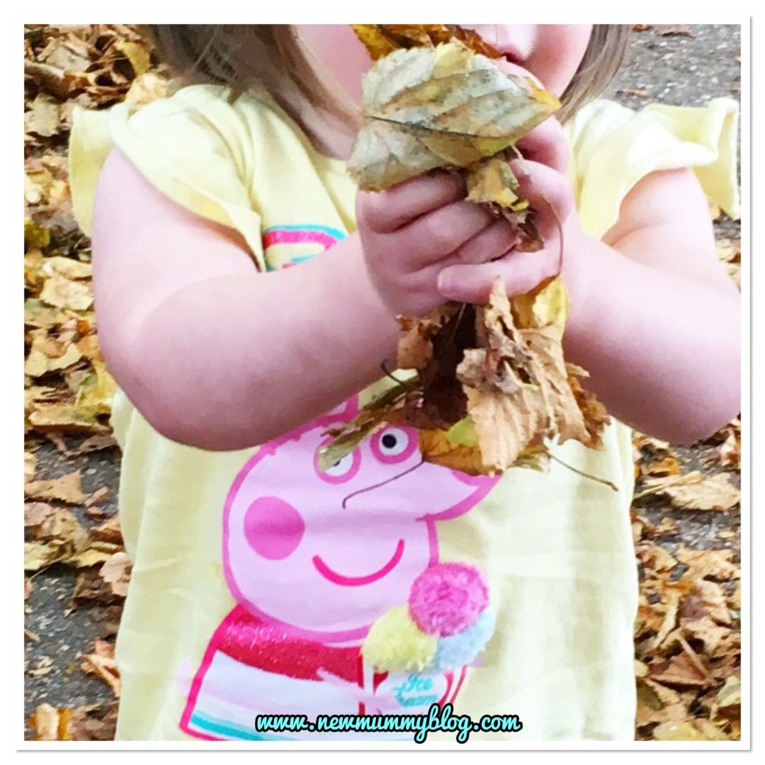15 month old discovers autumn leaves