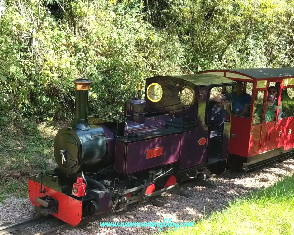 Perrygrove railway review family day out Gloucestershire Forest of Dean