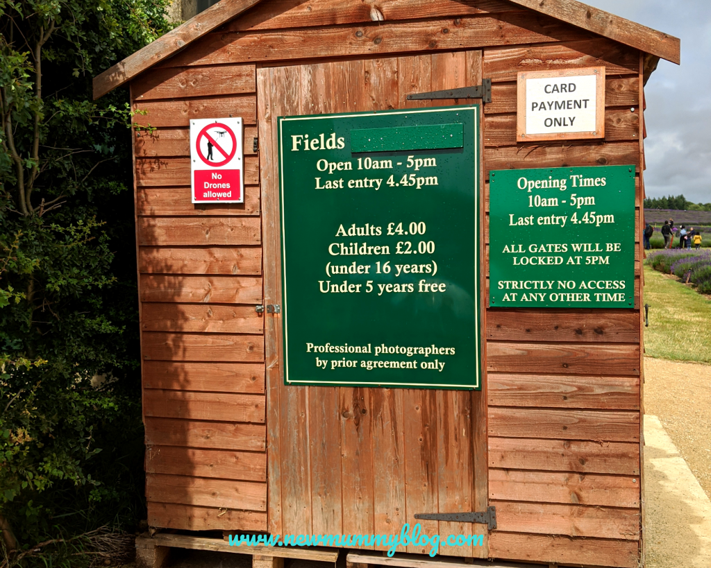 Entering Cotswold Lavender Farm prices visiting June 2020