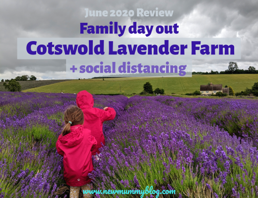 Cotswold Lavender fields family day out social distancing safe Worcestershire near Cheltenham June 2020