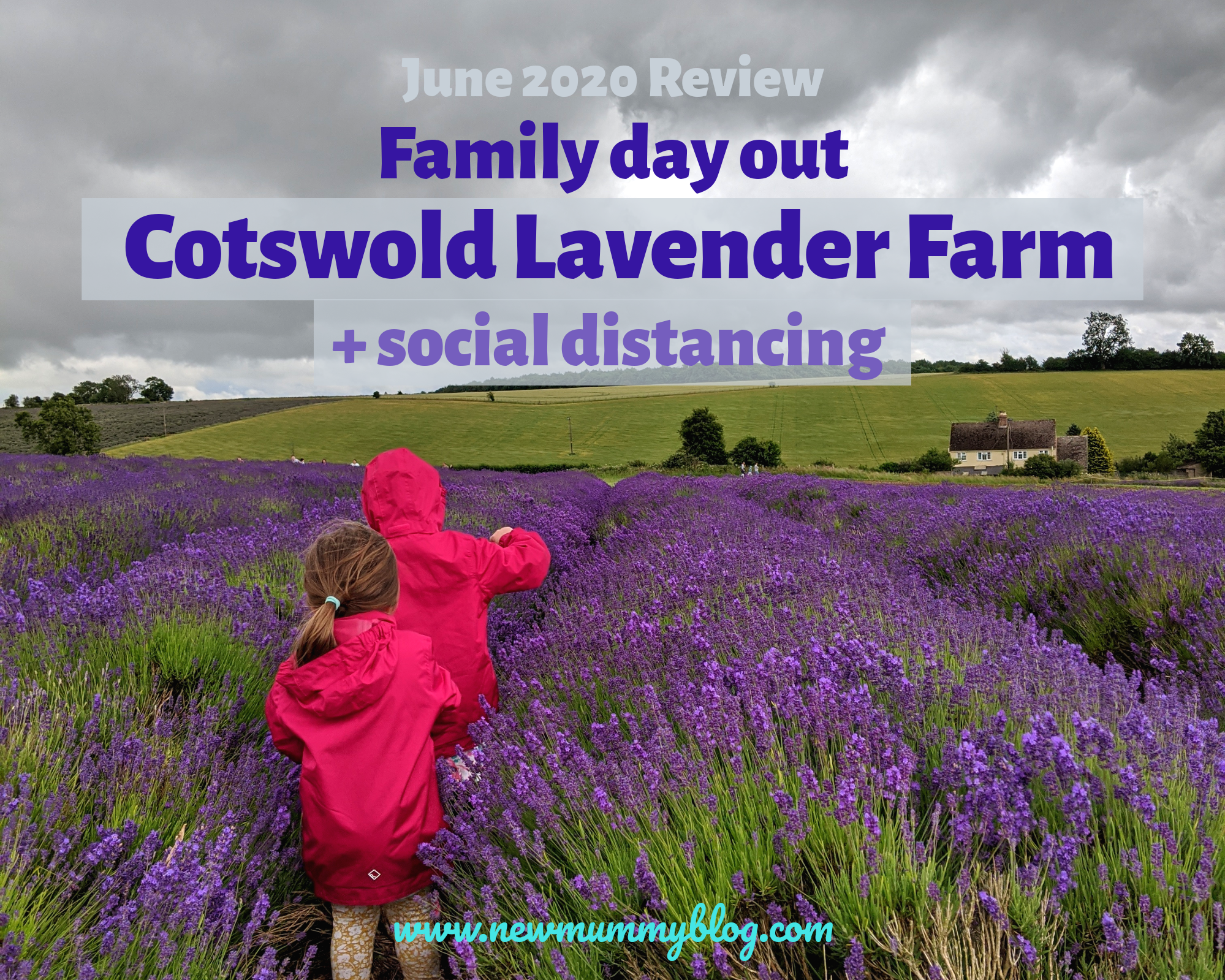 Cotswold Lavender fields family day out social distancing safe Worcestershire near Cheltenham June 2020