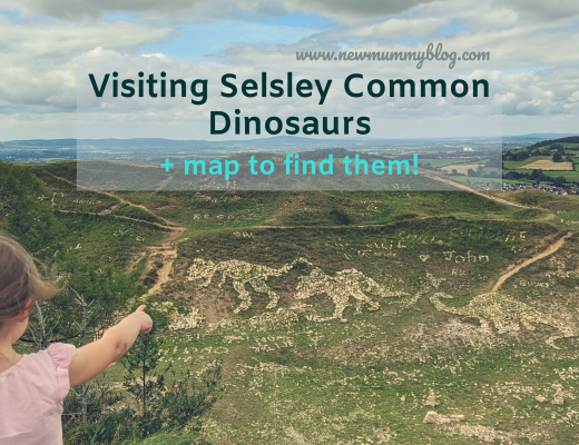 Selsley Common Dinosaurs and where to find them when you visit