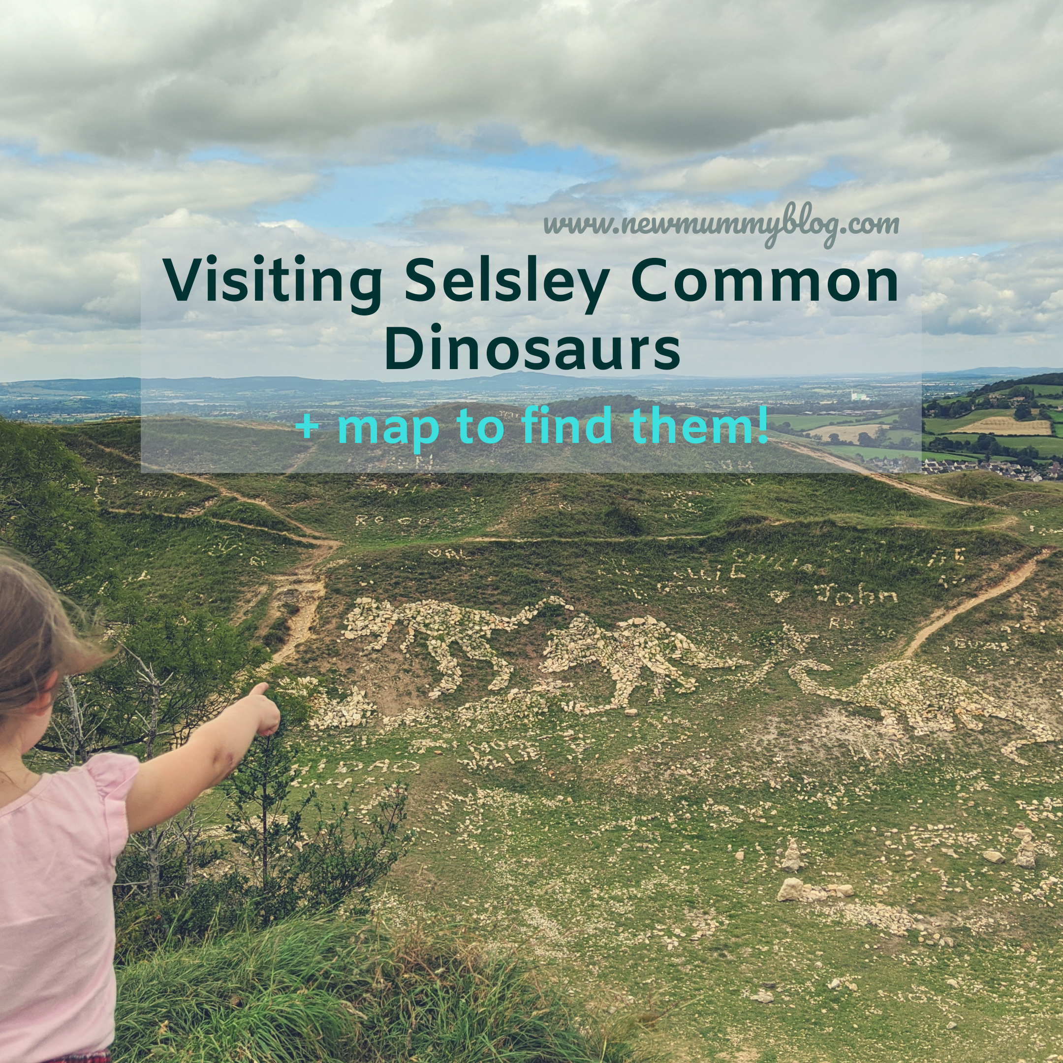 Selsley Common Dinosaurs and where to find them when you visit