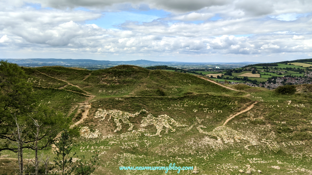 Selsley Common Dinosaurs, Gloucesteshire July 2020 post lockdown family walk with view into the distance