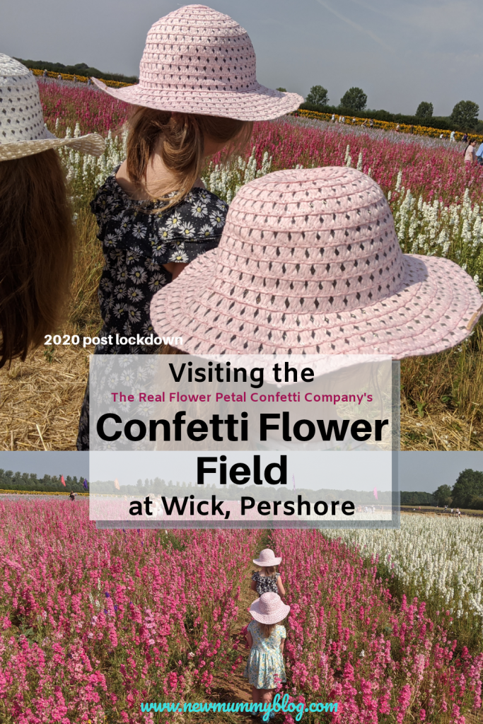 Visiting the Confetti Flower Field, Wick, Pershore, Worcestershire near Evesham. August 2020 with social distancing post lockdown. 