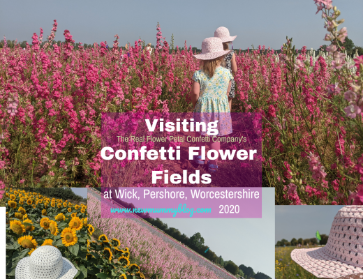 Visiting the Confetti Flower Field, Wick, Pershore, Worcestershire near Evesham. August 2020 social distancing post lockdown.