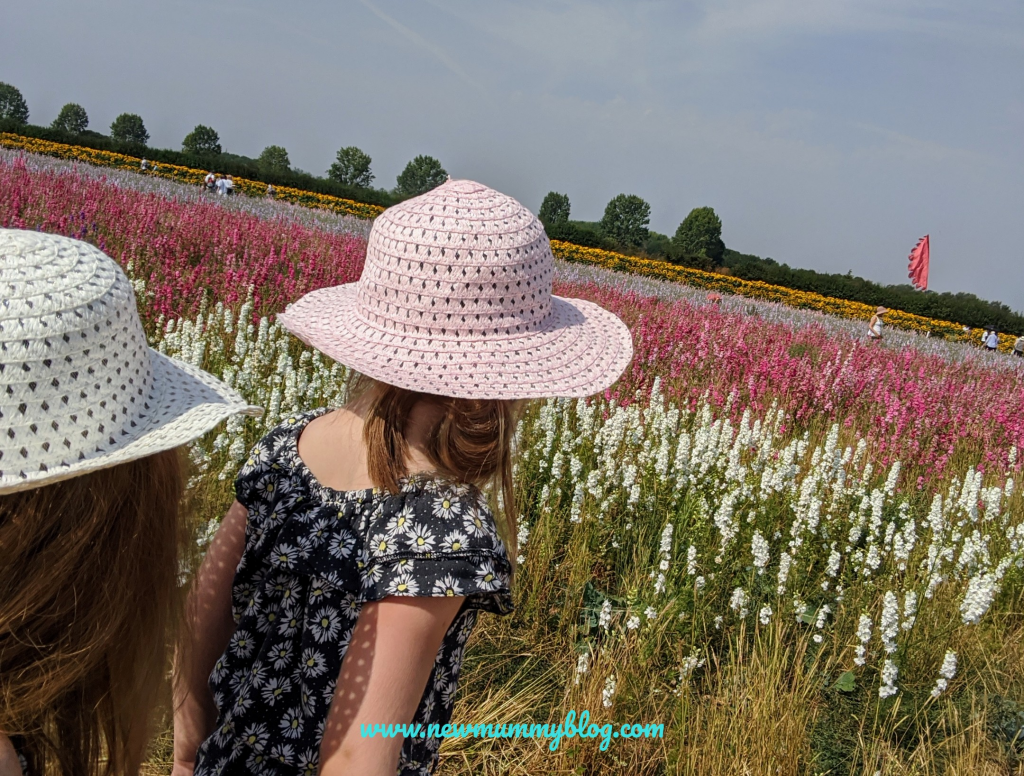 Visiting the Confetti Flower Field, Wick, Pershore, Worcestershire near Evesham. August 2020 social distancing post lockdown. 