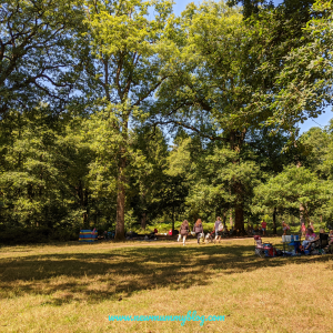 Wenchford picnic site forest of Dean Gloucestershire days out things to do with kids 