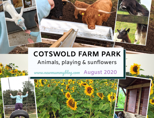 Cotswold Farm Park review