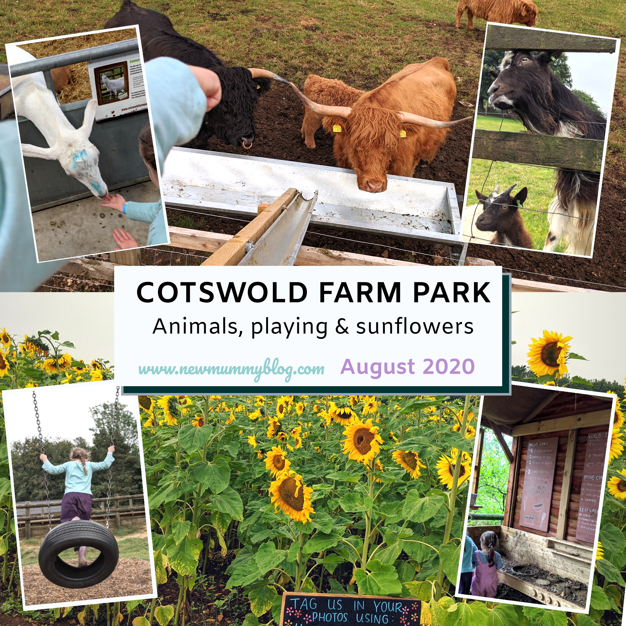 New Mummy Blog A parenting and lifestyle blog — Cotswold Farm Park