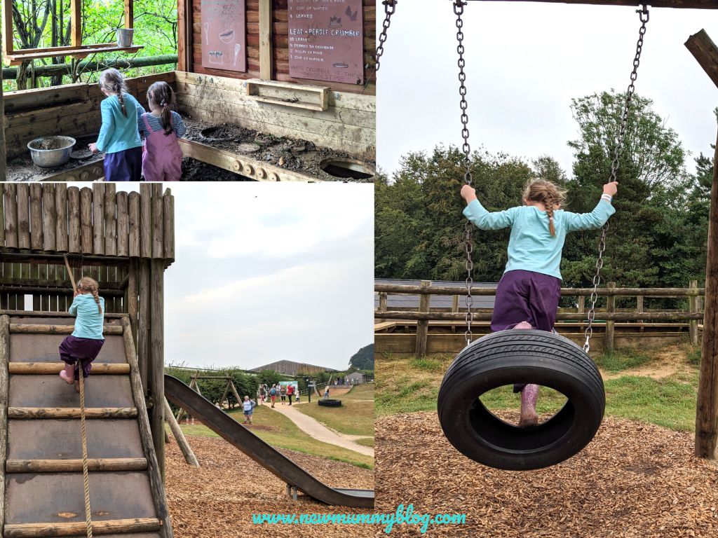 Cotswold Farm Park fun all day