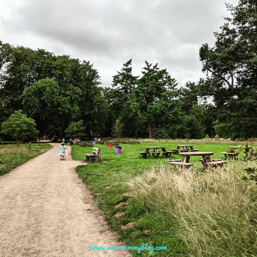 Westonbirt review post-lockdown reopened family days out near Cheltenham Gloucestershire 