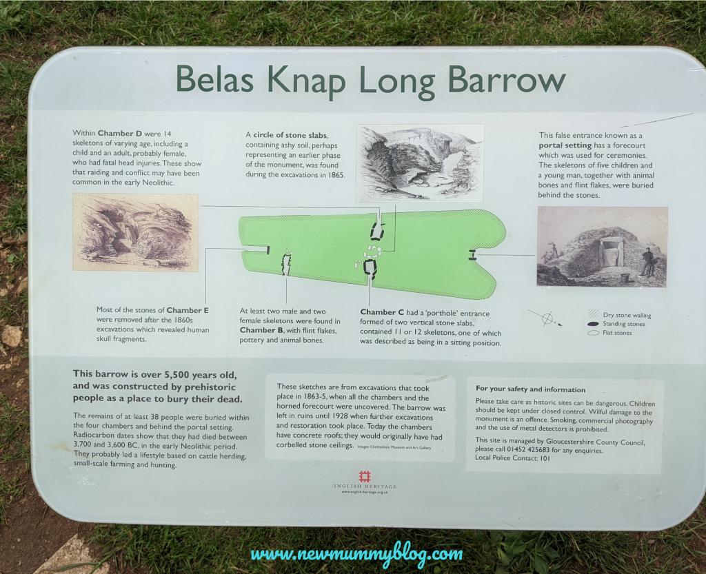 Bela's Knap long barrow, Winchcombe, near Cheltenham. Fun family day out near Cheltenham. Walks around Gloucestershire. Exploring the long barrow.