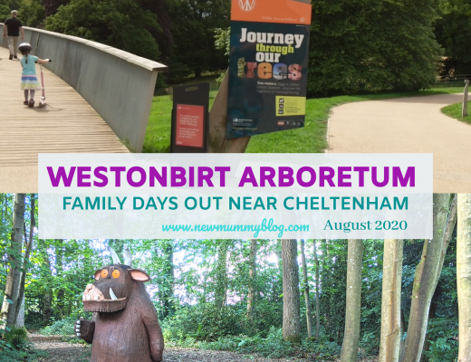 Westonbirt review family days out near Cheltenham, Gruffalo trail