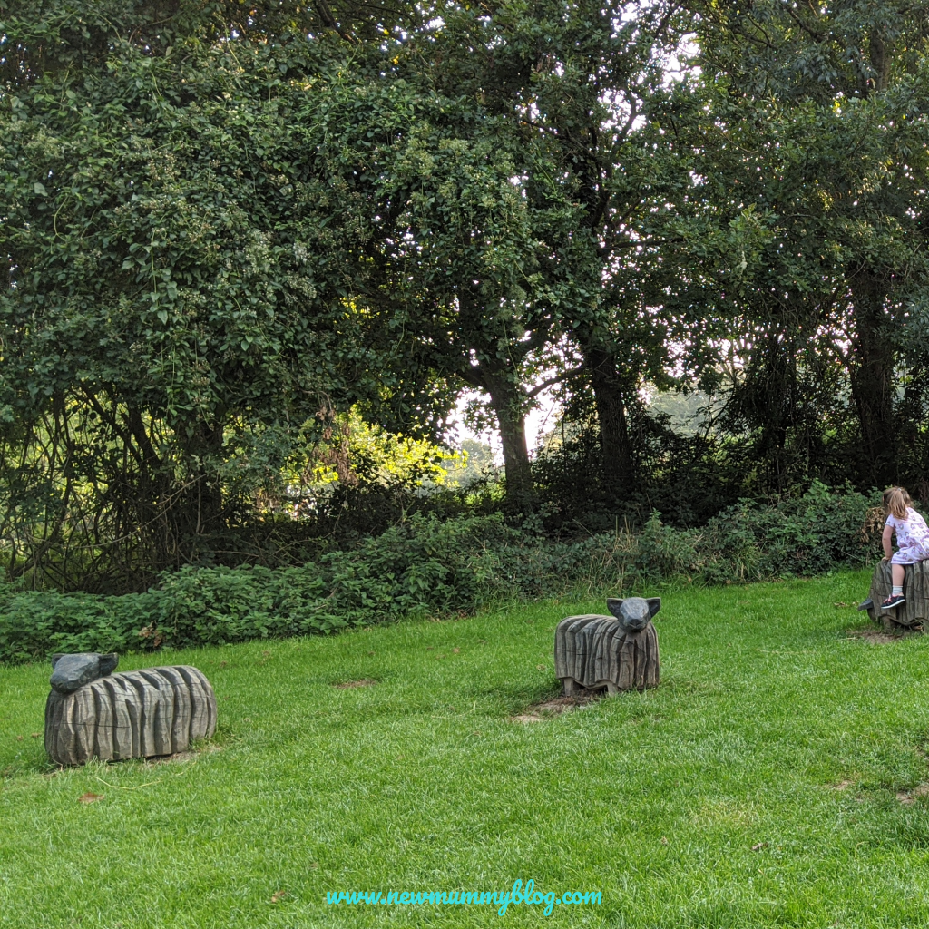 Robinswood Hill day out Gloucester with kids family walks