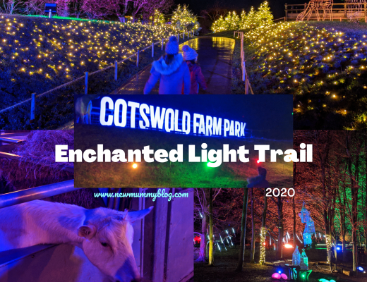 Cotswold Farm Park Enchanted Light Trail Review and video 2020 - Christmas Events near Cheltenham