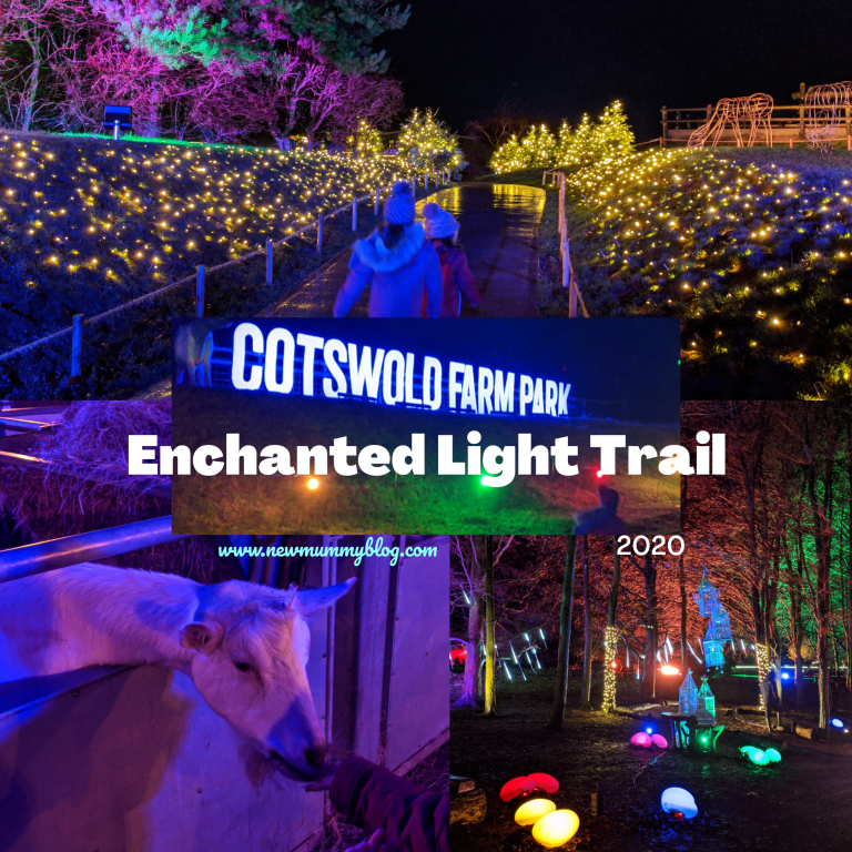 Enchanted Light Trail at Cotswold Farm Park Review Cheltenham